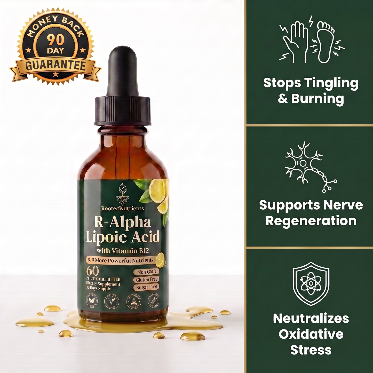 RootedNutrients R-Alpha Lipoic Acid Drops - Support Nerve Health & Regeneration