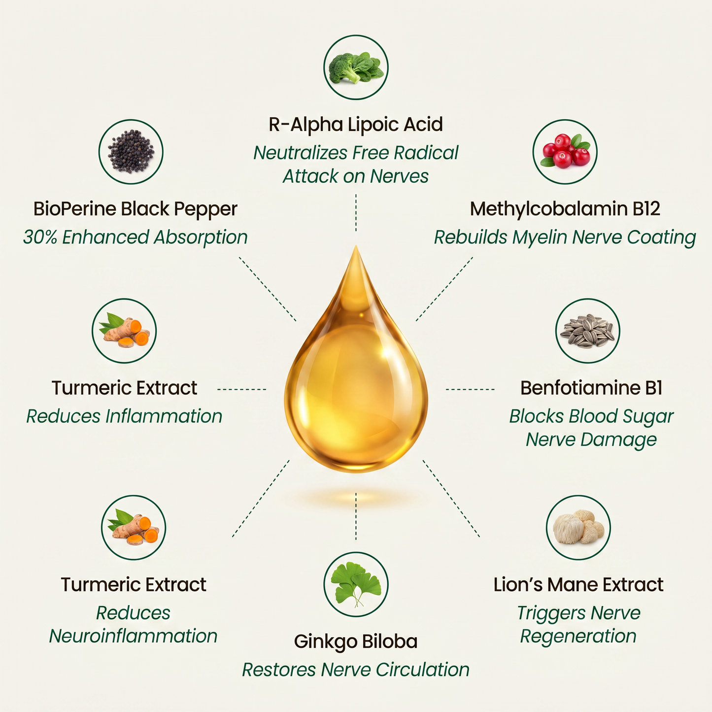RootedNutrients R-Alpha Lipoic Acid Drops - Support Nerve Health & Regeneration